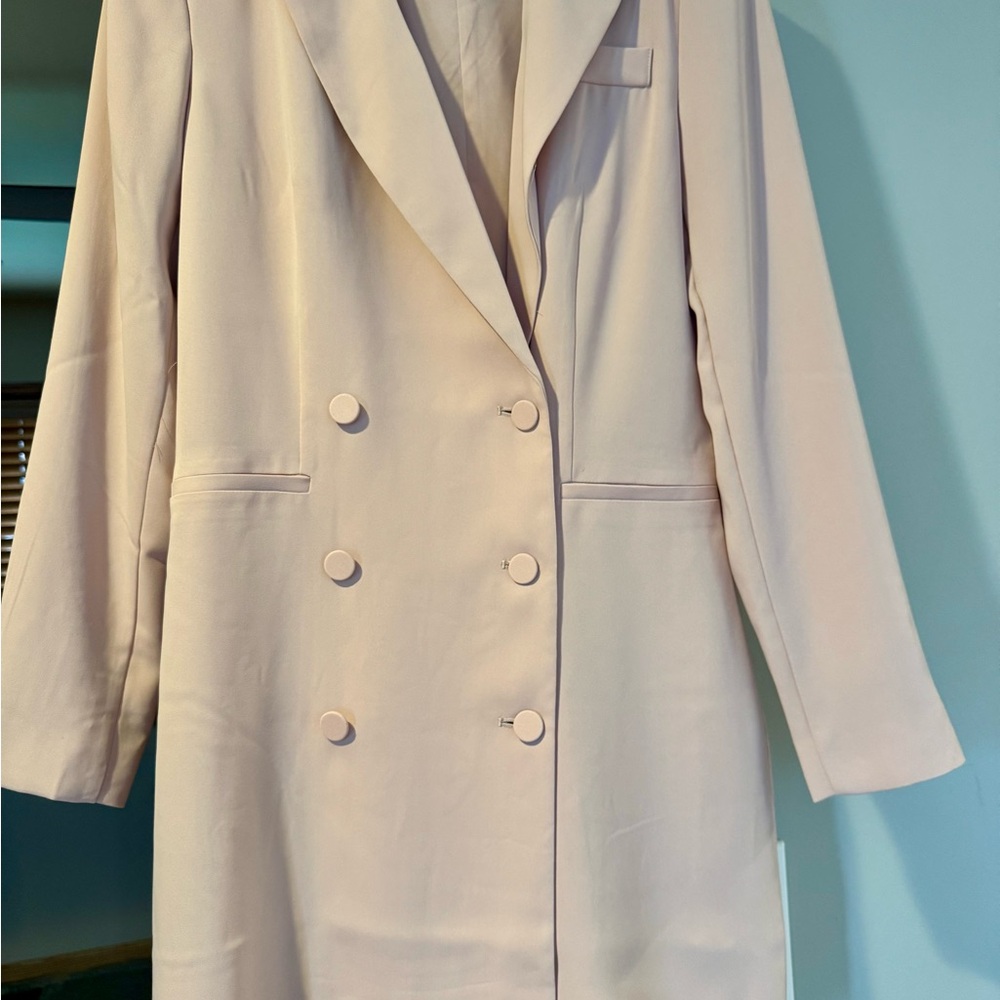 Express Light Pink Double-Breasted Blazer